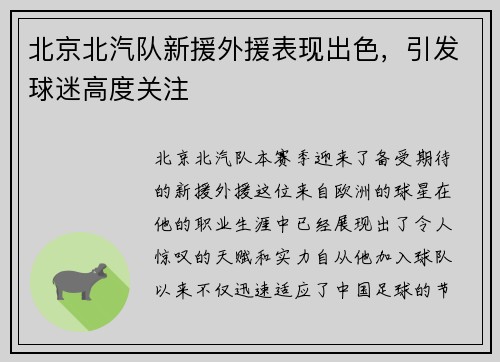 北京北汽队新援外援表现出色，引发球迷高度关注